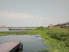 -小陆莲花蟹园农家乐(莲花岛店)