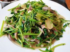 芫爆肚丝-鸿运楼烤鸭店(天桥店)