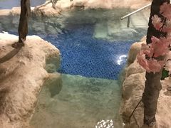 -中铁花水湾四季温泉谷