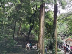 -南华禅寺