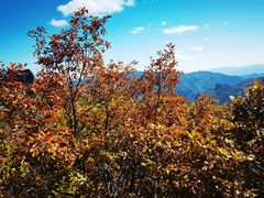 -灵山