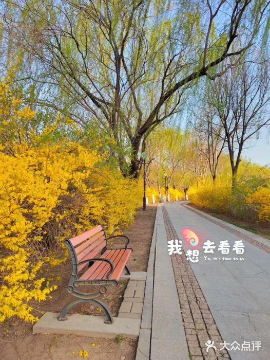 南翠屏公园图片