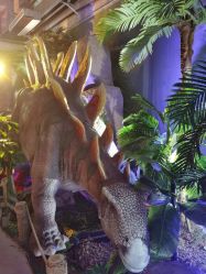 -恐龙探索乐园(磁器口店)