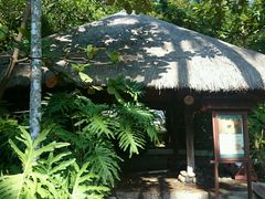 android_upload_pic-三亚珠江南田温泉度假区