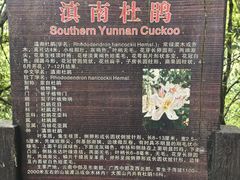 -云南屏边大围山国家公园