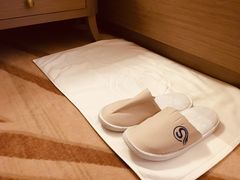 -圣爵菲斯大酒店(长沙世界之窗店)