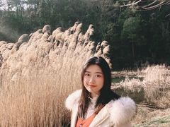 -南京市无想山景区