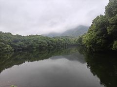 -杭州半山国家森林公园