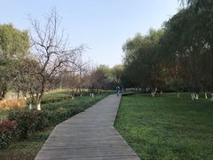 -长广溪湿地公园