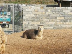 -清风小镇闯关东影视基地