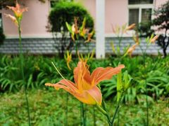 -陕西师范大学(雁塔校区)