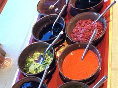 -松赞拉萨林卡酒店