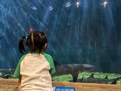 -华夏文旅西安度假区