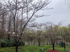 -自然谷恐龙园