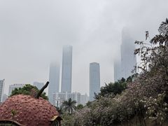 -南宁市凤岭儿童公园