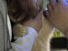 -爱侣宠医·鹦鹉专科·小型哺乳类·异宠专科(灵石路店)