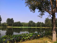 -东郊湿地公园