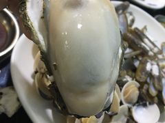 -蚝专家
