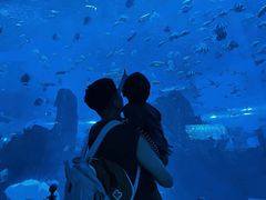 -石家庄极地海洋世界