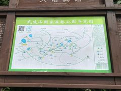 -武陵山森林公园