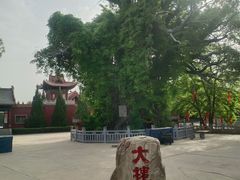 -大槐树寻根祭祖园