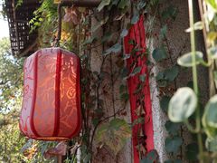 -馬蘭花開(车站大道店)