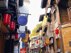 -南山植物园