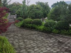 -眉山湿地公园(东坡区)