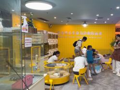 -神奇动物撸宠馆·羊驼·小浣熊·异宠(豫园店)