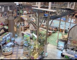 -卡通尼·Safari非洲探索乐园·生日会(金桥国际商业广场店)