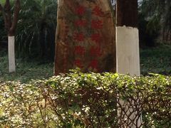 -西南政法大学(渝北校区)