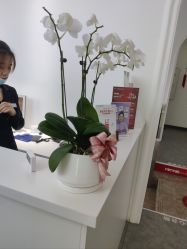 -索菲医疗整形美容