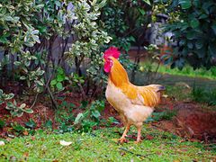 -湖南省立第一师范学校旧址