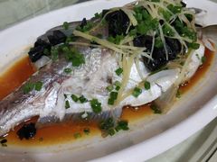 榄角蒸边鱼-区海鸡场饭店(石壁店)