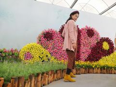 -万顷园艺世界
