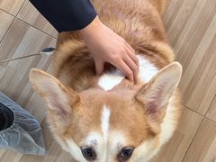 -喵小馆·猫咖狗咖猪咖·饮品店