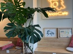 -Dinoo 片场咖啡(酒仙桥店)