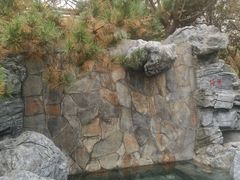 -和园景逸大酒店朗月汤泉