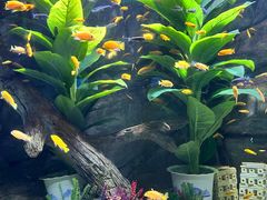 -常州海昌海洋探索馆