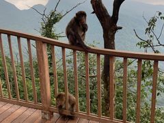 -瓦屋山景区