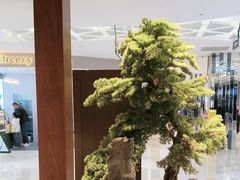 -和府捞面(北美新天地店)