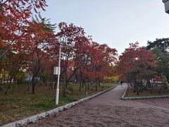 -吉林大学(南岭校区)
