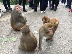 -一烙锅(友谊店)