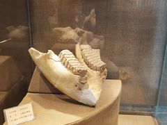 -丁村民俗博物馆