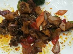 -清真悦宾楼食府(海湖店)