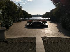 -上海都市菜园