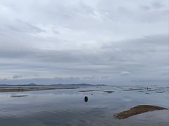-仙人岛