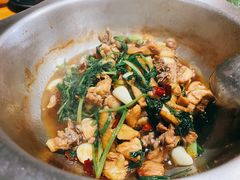 炒鸡-九道菜有鸡鱼头(石鼓路店)