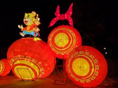 -长春市南湖公园