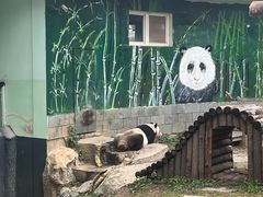 -南昌动物园